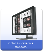 Color and Grayscale Monitors